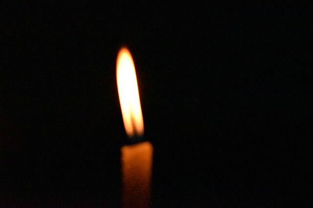 Carrying Memory Forward: A Jewish Student Reflects on Holocaust Memorial Day